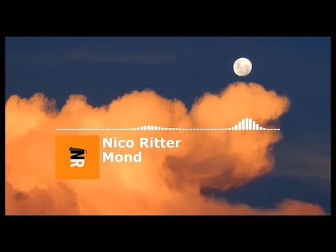 Nico Ritter - Mond | JCC 2020 | Qualifikation #4 - REACTION