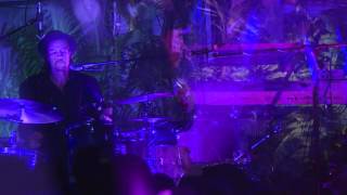 Taniwha V Swamp Thing