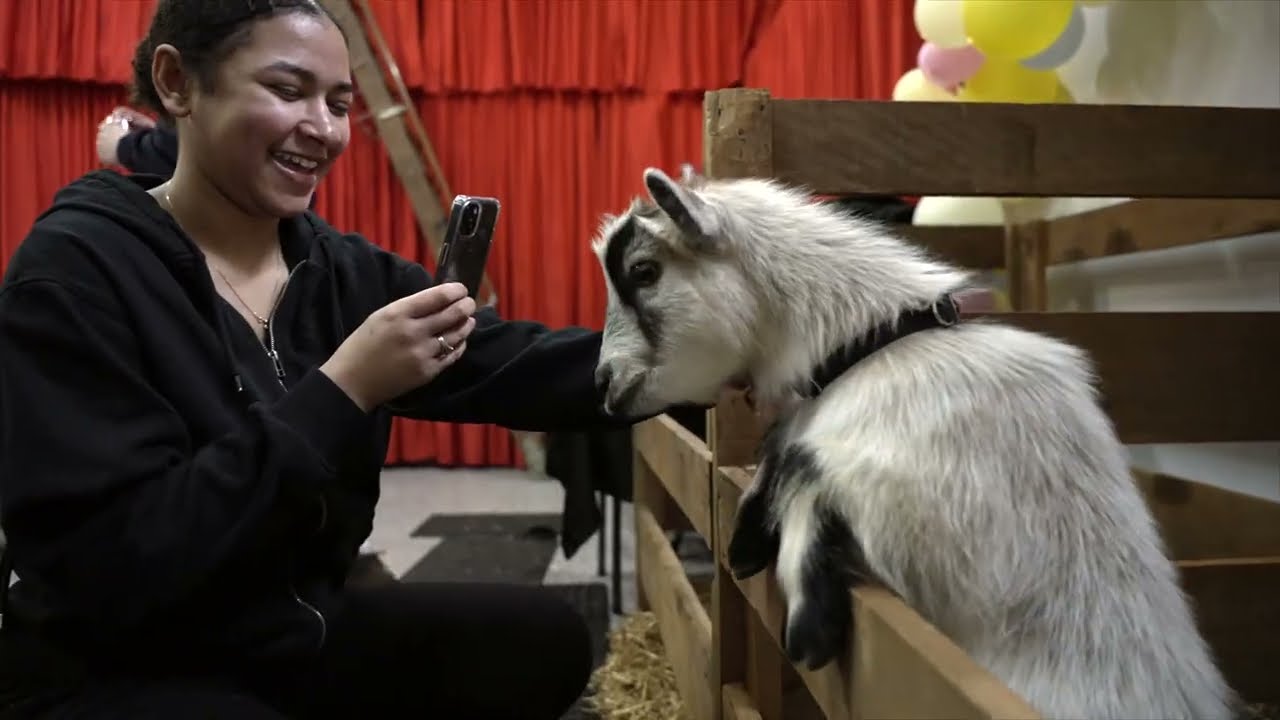 Promotional video thumbnail 1 for Pygmy Goat Parties & Petting Zoos