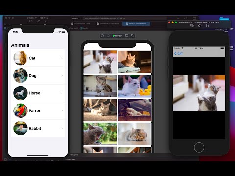 Navigation Between Views in SwiftUI