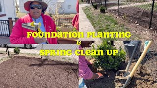 Fence Foundation Planting and Spring Garden Clean Up | Eastwick Cottage Garden
