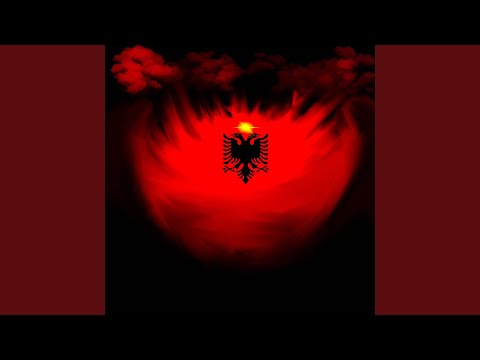 Partizani nluft po Shkon