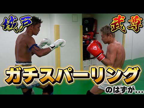 【武尊VS城戸康裕】K-1の絶対王者とガチスパーリングしてみた…？【ドッキリ】