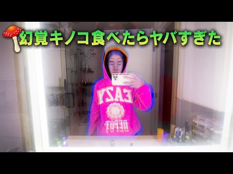 マジックマッシュルームは環境意識を促進します