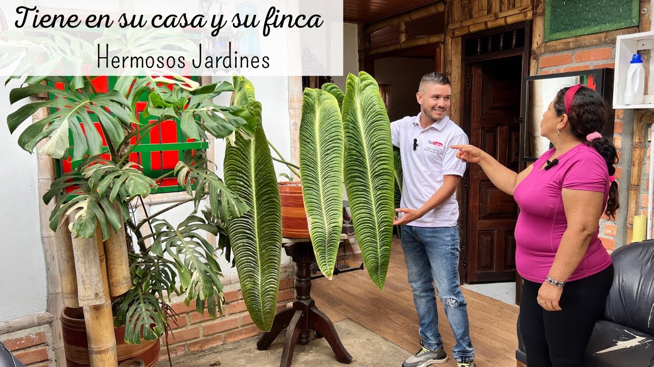 Su abuela le trasmitió el amor por las plantas, ahora tiene DOS HERMOSOS JARDINES.