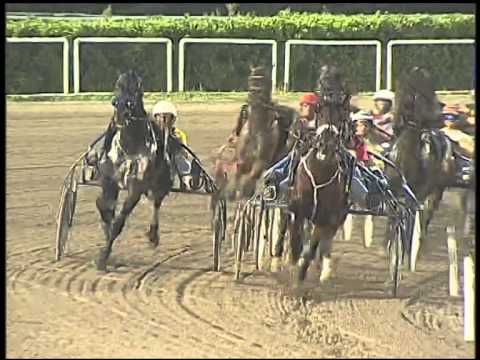 Trotto 21/09/2014 - 8° corsa