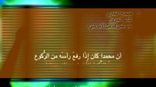   الحلقة 2 اللعنة والبركة