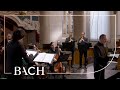 Bach Cantata Jesus Schläft Was Soll Ich Hoffen BWV 81 Sato Netherlands Bach Society