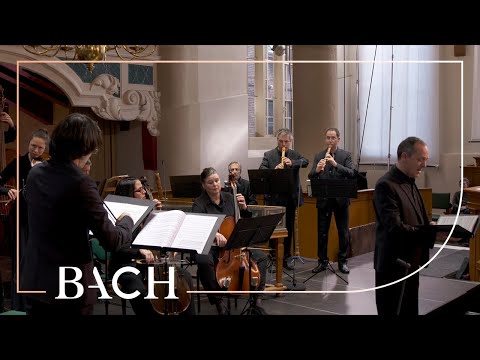Netherlands Bach Society