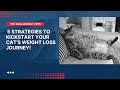 5 Strategies To Kickstart Your Cat's Weight Loss Journey!