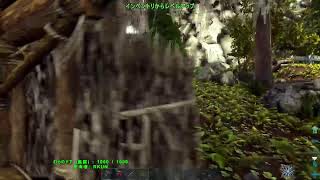 (PS5) 【#ARK PVP】PS4版 参加型マルチプレイ！　かなり久々の生配信 暴言禁止　公式サーバーでプレイ　建築など　#1 16時までプレイ