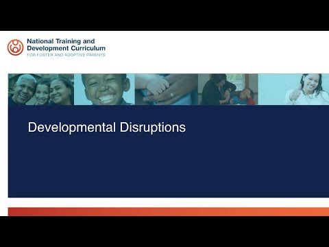 NTDC Classroom: Trauma-Related Behaviors – Developmental Disruptions