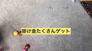 白い日＝〇〇