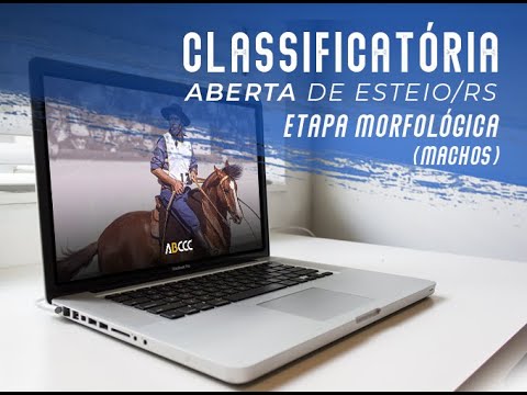 Classificatória Aberta de Esteio - Julgamento Morfológico (Machos)