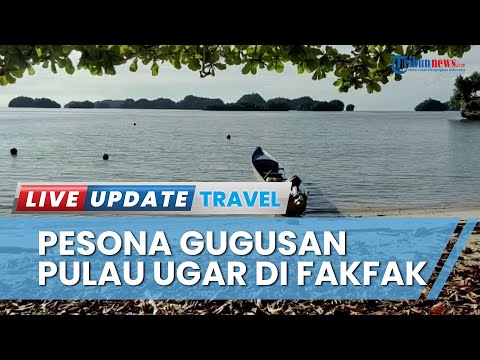 Kunjungan Turis Asing Naik Tajam Pasca Pandemi, Perguruan Tinggi Kembangkan Prodi Pariwisata - TribunNews.com  