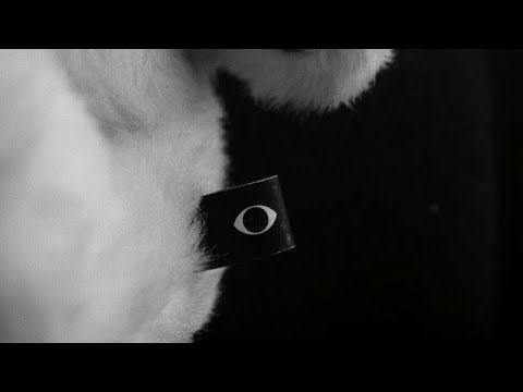 Los Moltar - Ojo x Luna (Videoclip Oficial)