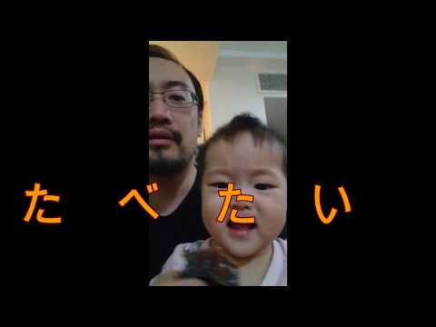 園芸 メコンナツメヤシ、ドワーフナツメヤシ