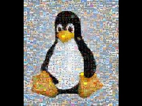 Montage of Zsen + Happy Birthday Axl!!!