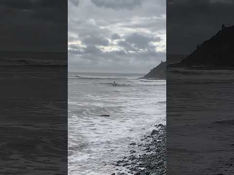 Hurricane Lee- Surfing🏄‍♂️#shorts