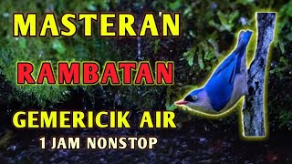 Download lagu Masteran Suara Burung Rambatan Gacor dengan Gemericik Air cocok Untuk Terapi dan Isian Tembakan mp3