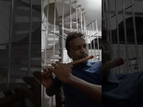 නින්ද නේන රාත්‍රියේ...