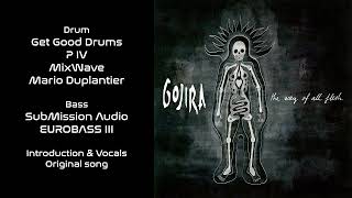 Gojira - Vacuity - Guitar Backing Track with vocals