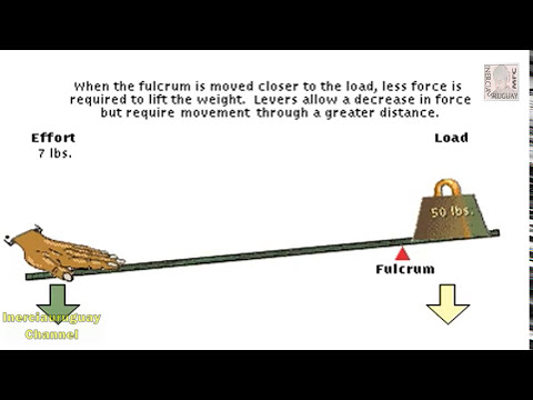 HOW LEVERS WORK LOAD EFFORT How They Work And Calculation - Physics Well Explained Animation