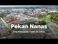 Exploring Pekan Nanas, Johor [4K60P]