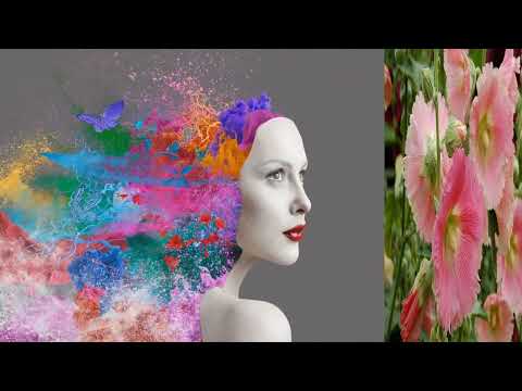 La donna - Laboratorio di scrittura creativa e collettiva