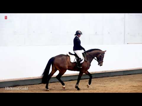 Hickstead Gold *2017 v. Hickstead White-Quidam de Revel