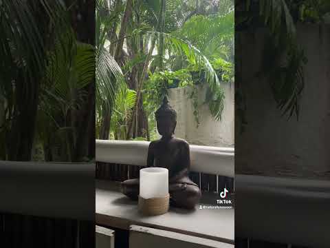 Pura Vida: Finding Magic in the Present Moment ✨ #costarica #yogaretreat