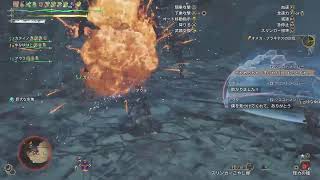 復帰久々ワイルズ　マジオス周回？