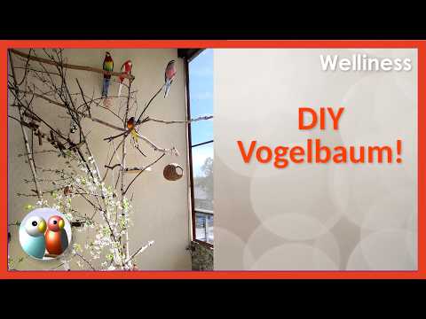Vogelbaum selber bauen - einfache Anleitung für glückliche Wellensittiche