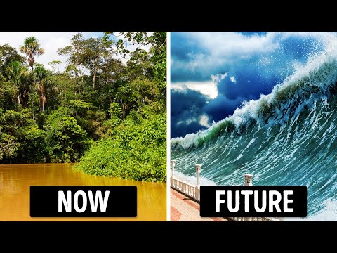 Will We Lose Oxygen If We Lose the Amazon Rainforest?