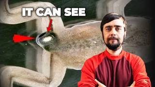 More People Need To Know About This Experiment