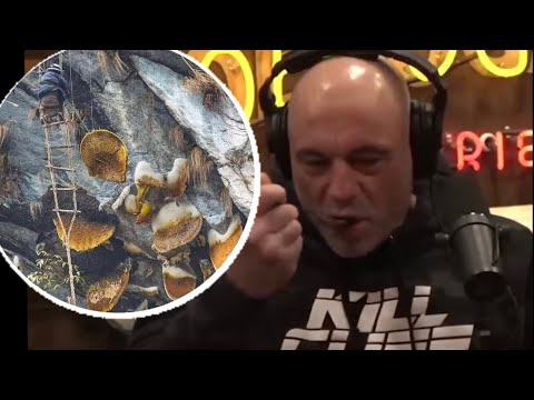 Joe Rogan Tries Mad Honey