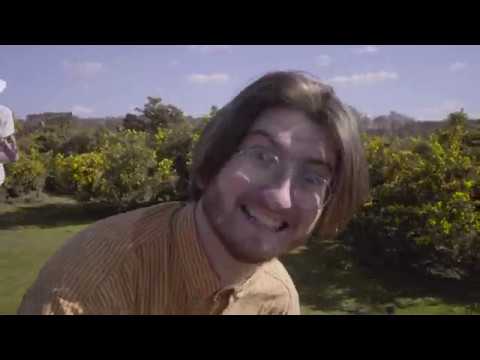 Pinc Wafer - What a Treat!