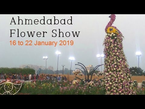Ahmedabad Flower Show 2019  at Sabarmati Riverfront | vatsal mandavia