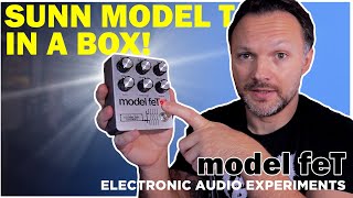 Video thumbnail for It Sounds Exactly like the AMP! Model FeT! by Boring Gear Reviews