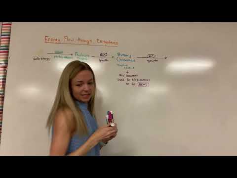 AP Biology Exam Prep Unit 8 Ecology Review