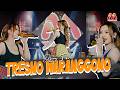 Ajeng Febria TRESNO WARANGGONO Official Music Video