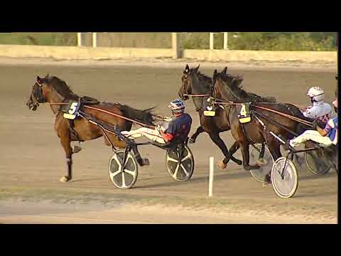 Napoli Trotto 17/09/2023 - 8ª corsa