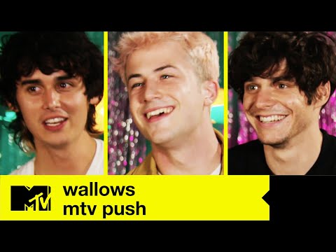 Thumbnail for Wallows Play 'Push Play' + Interview (MTV Push) | MTV Music by Wallows