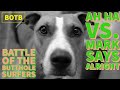 Battle of the Butthole Surfers: Day 88 - Ah Ha vs. Mark Says Alright