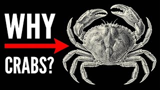 Why Crabs Keep Evolving And Scientists Can't Explain It.