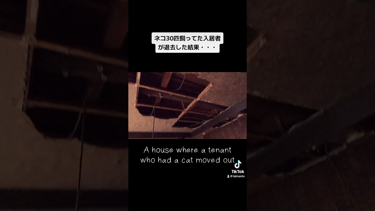 ネコハウスが退去後とんでもないことになってた