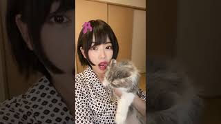 飼い猫かわいすぎて食べたくなることありません？笑【谷藤海咲】 #shorts