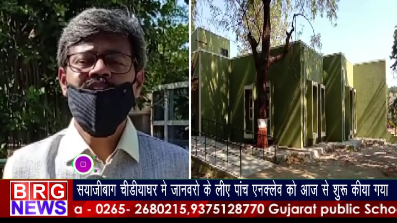 सयाजीबाग चिड़ियाघर में  जानवरो के लिए पांच एन्क्लेव को आज से शुरू किया गया BRG NEWS