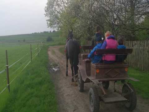 Nasza Wioska - Kroczyce - Poland