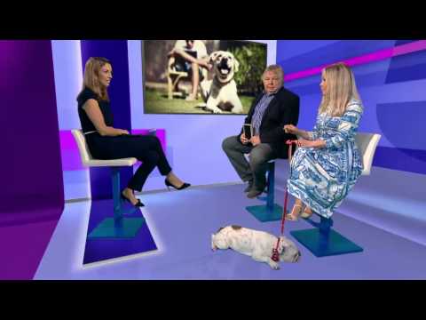 Talking pets and holidays @NickFerrariLBC and Jo Good joined 5 News to say whether they woulds cance